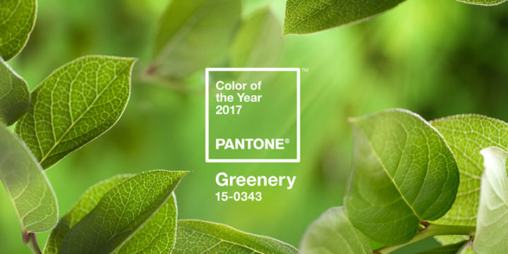 La couleur Pantone de l’année !